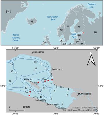 Relationships Between Northern Hemisphere Teleconnection Patterns and Phytoplankton Productivity in the Neva Estuary (Northeastern Baltic Sea)